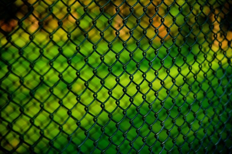 Chain Link Fence Painting